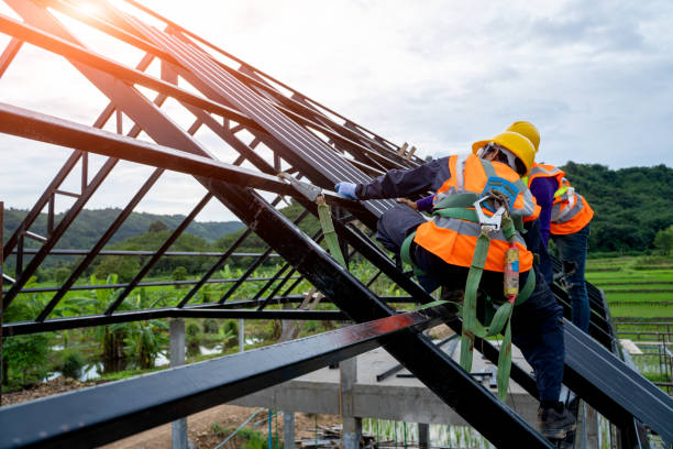 Best Roof Gutter Cleaning  in West Belmar, NJ