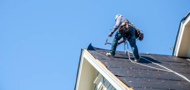 Best Roof Waterproofing Services  in West Belmar, NJ